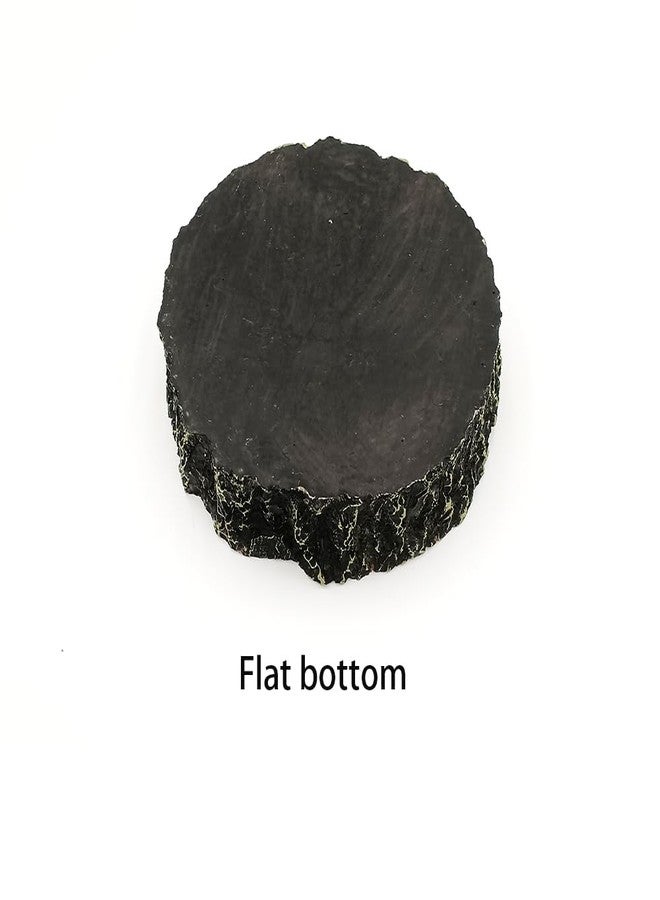 Shelltech Reptile Water Dish and Food Bowl, Resin Dish with Wood Grain Design for Tortoise Gecko Frog Spider Chameleon Scorpion (Black, Mini) - Image 4